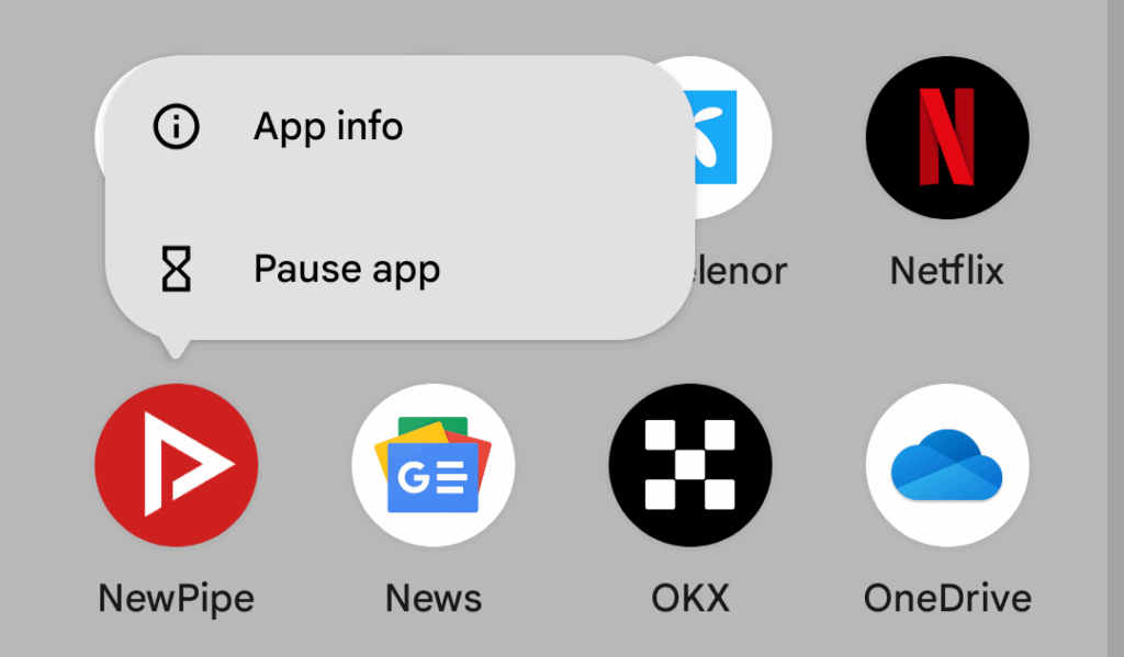 Showing app info on NewPipe app